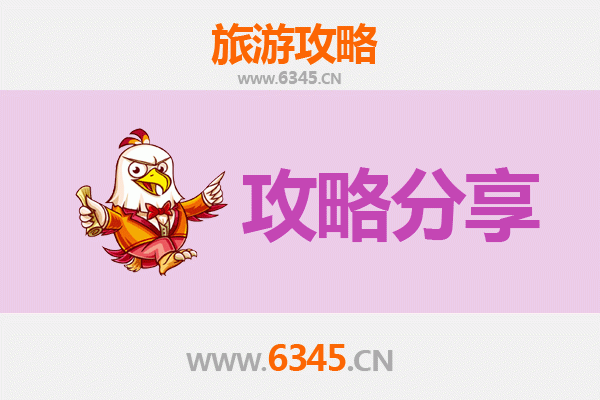 贵港港北至湄洲岛旅游攻略：跟团还是自由行深度解析